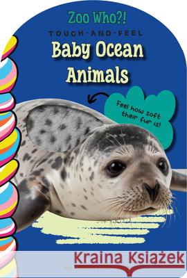 Baby Ocean Animals Touch and Feel Leeann Dominick 9781834040776 Taffy Tales