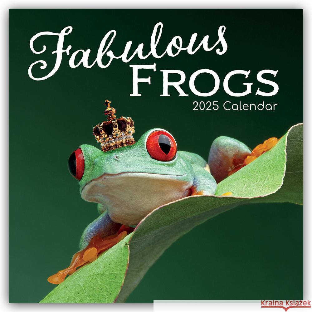 Fabulous Frogs - Fabelhafte Frösche 2025 - 16-Monatskalender Gifted Stationery Co. Ltd 9781835360408