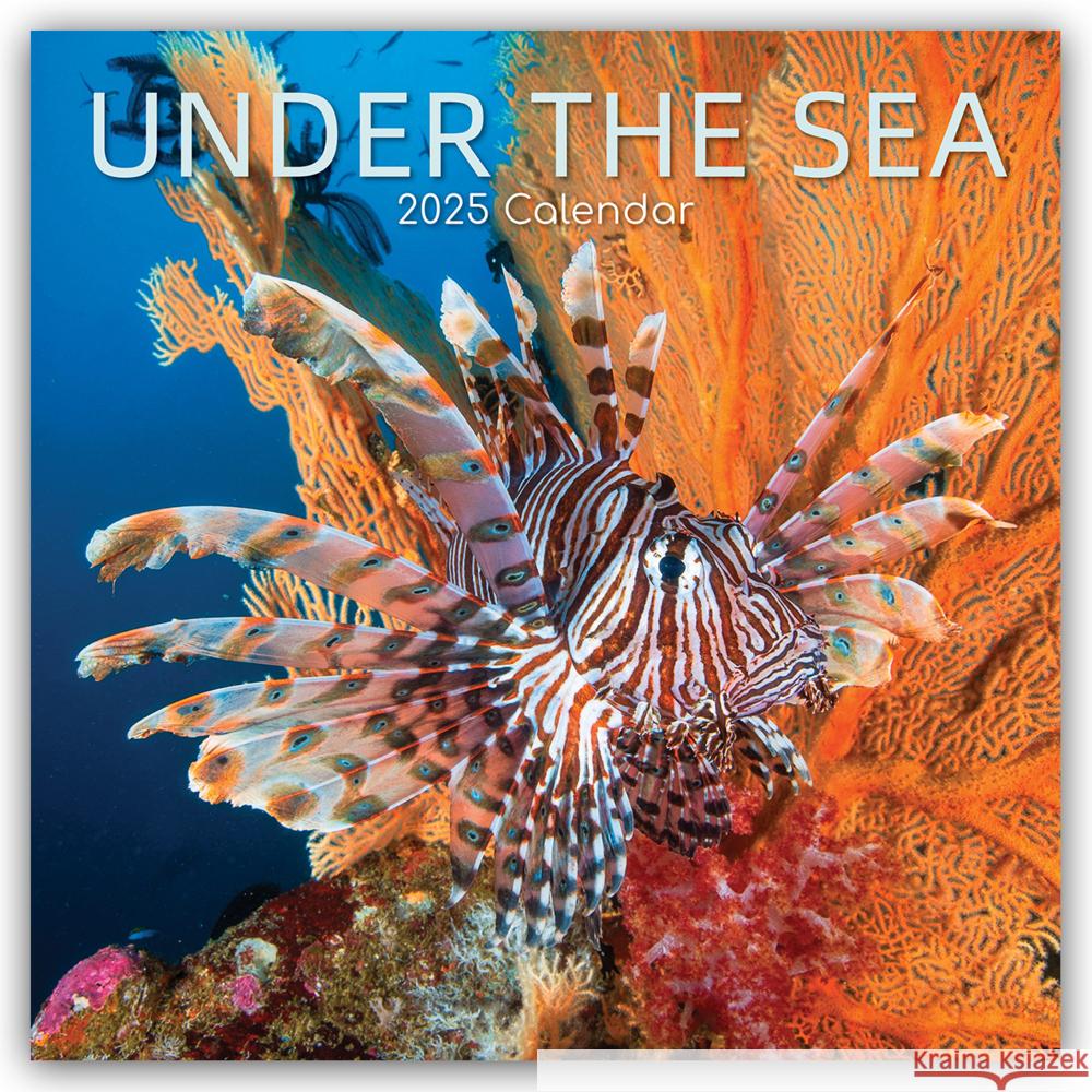 Under the Sea - Tropische Fische 2025 - 16-Monatskalender Gifted Stationery Co. Ltd 9781835362402