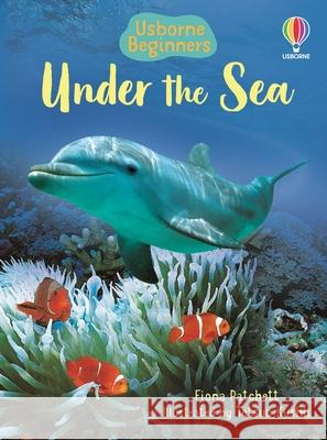 Under the Sea  9781835402436 Not Avail