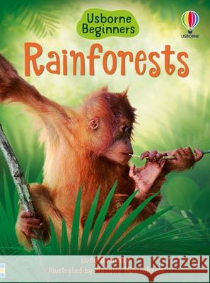 Rainforests Lucy Bowman Natalie Hinrichsen 9781835402450 Usborne Books
