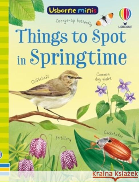 Things to Spot in Springtime Lara Bryan 9781835403518