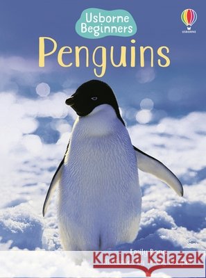 Penguins Emily Bone Jenny Cooper Tim Haggerty 9781835404881