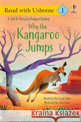 Why the Kangaroo Jumps Rob Lloyd Jones John Joven 9781835404935 Usborne Books
