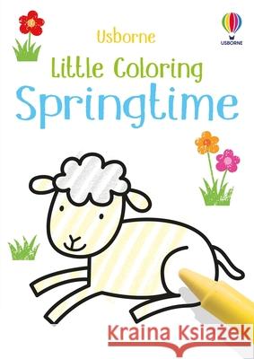Little Coloring Springtime Matthew Oldham Jenny Brown 9781835405093 Usborne Books