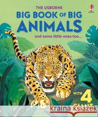 Big Book of Big Animals Hazel Maskell Fabiano Fiorin 9781835405680 Usborne Books