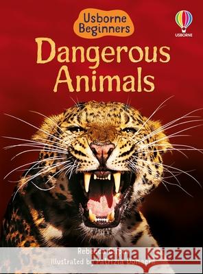 Dangerous Animals Rebecca Gilpin Patrizia Donaera 9781835405789 Usborne Books
