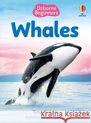 Beginners Whales James Maclaine 9781835409039