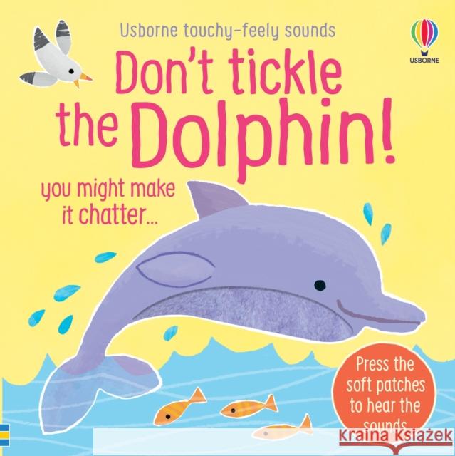 Don't Tickle the Dolphin! Sam Taplin 9781835409930 Usborne Publishing Ltd