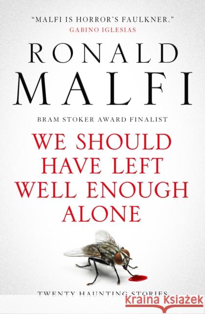 We Should Have Left Well Enough Alone Ronald Malfi 9781835410608