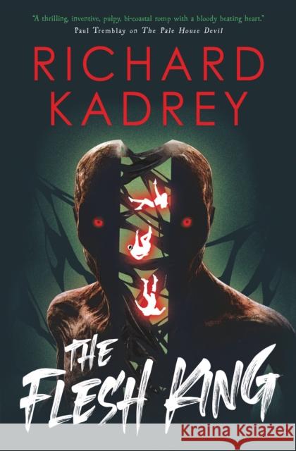 The Discreet Eliminators series - The Flesh King Richard Kadrey 9781835412435