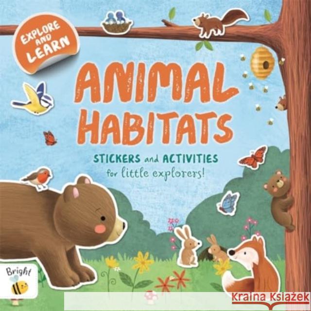 Animal Habitats Autumn Publishing 9781835440605 Bonnier Books Ltd