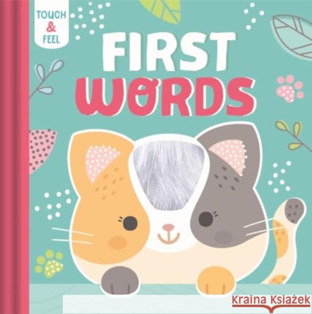 First Words Igloo Books 9781835441534 Bonnier Books Ltd