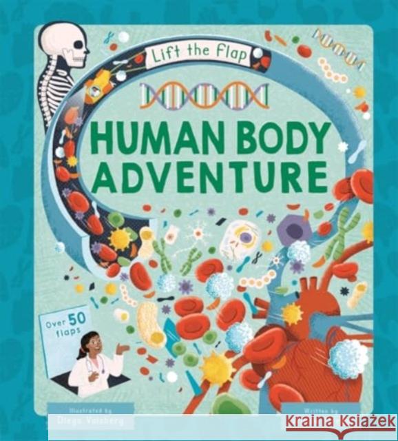 Human Body Adventure Autumn Publishing 9781835443088