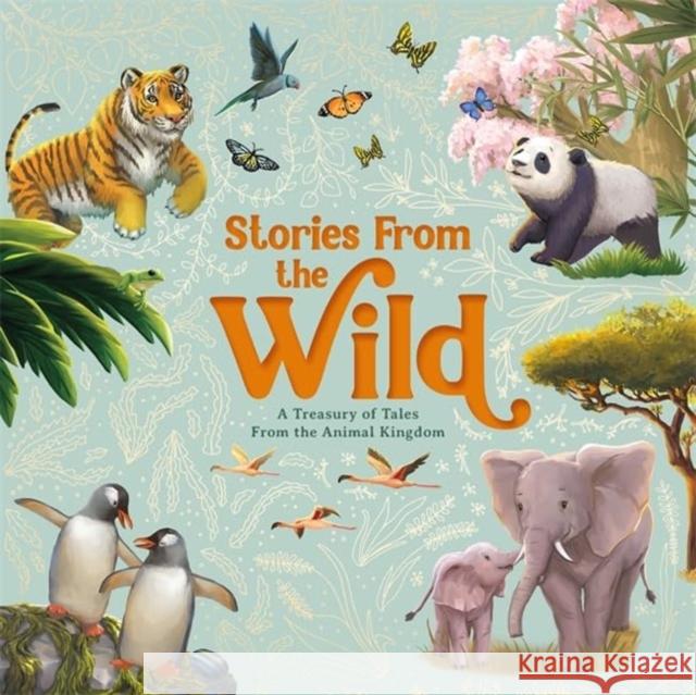 Stories From The Wild Autumn Publishing 9781835449936 Bonnier Books Ltd