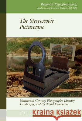 The Stereoscopic Picturesque: Nineteenth-Century Photography, Literary Landscapes, and the Third Dimension Bruce Graver 9781835537916