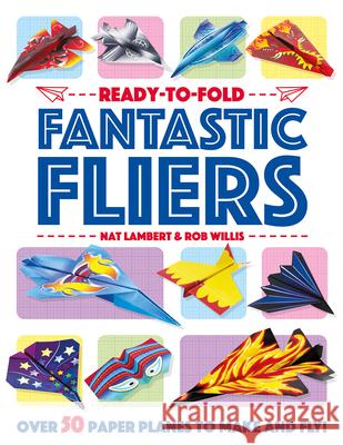 Fantastic Fliers Nat Lambert Rob Willis 9781835551158 Two Windmills