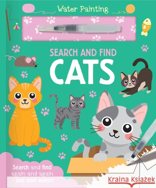 Search and Find Cats Georgie Taylor 9781835551349