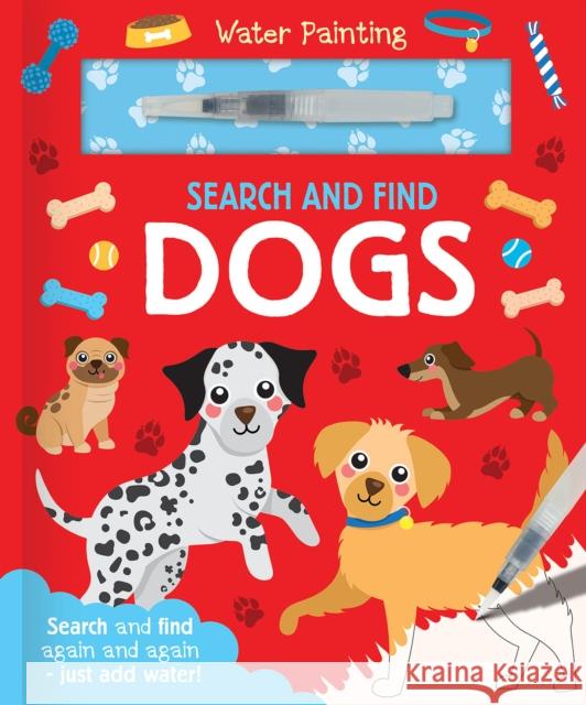 Search and Find Dogs Georgie Taylor 9781835551363