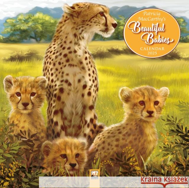 Patricia Maccarthy's Beautiful Babies Wall Calendar 2025 (Art Calendar) Flame Tree Studio 9781835620403 Flame Tree Calendars