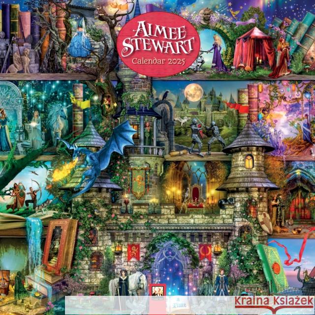 Aimee Stewart Wall Calendar 2025 (Art Calendar) Flame Tree Studio 9781835620441 Flame Tree Calendars