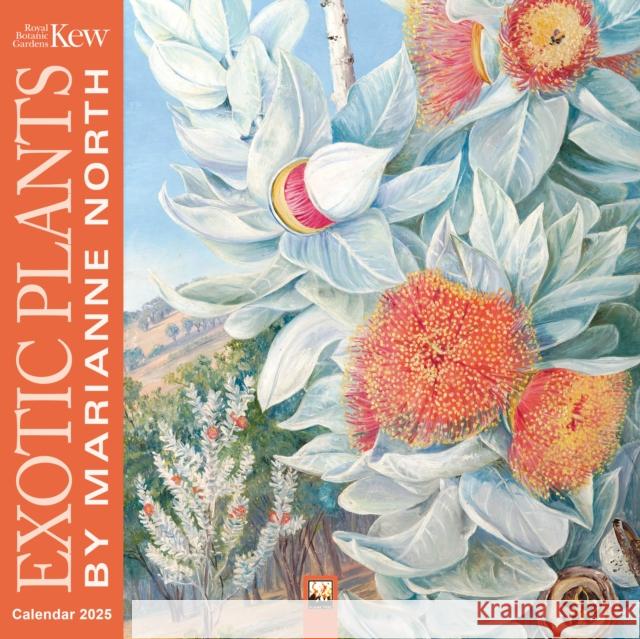 Kew Gardens: Exotic Plants by Marianne North Wall Calendar 2025 (Art Calendar) Flame Tree Studio 9781835620717 Flame Tree Publishing