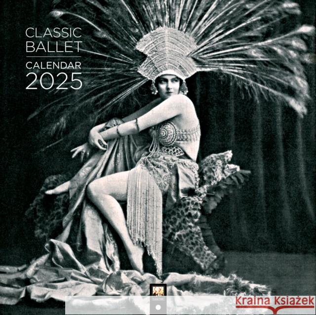 Classic Ballet Wall Calendar 2025 (Art Calendar)  9781835620861 Flame Tree Publishing