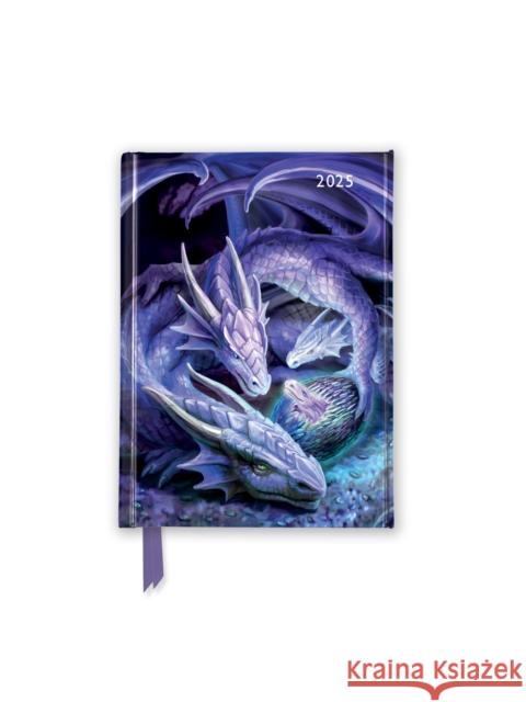 Anne Stokes: Welcome Hatchling 2025 Luxury Pocket Diary Planner - Week to View  9781835621493 Flame Tree Publishing