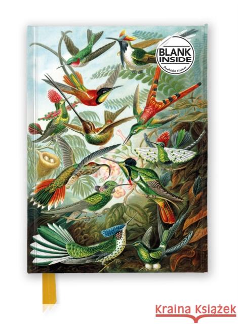 Ernst Haeckel: Hummingbirds (Foiled Blank Journal) Flame Tree Studio 9781835622100 Flame Tree Gift