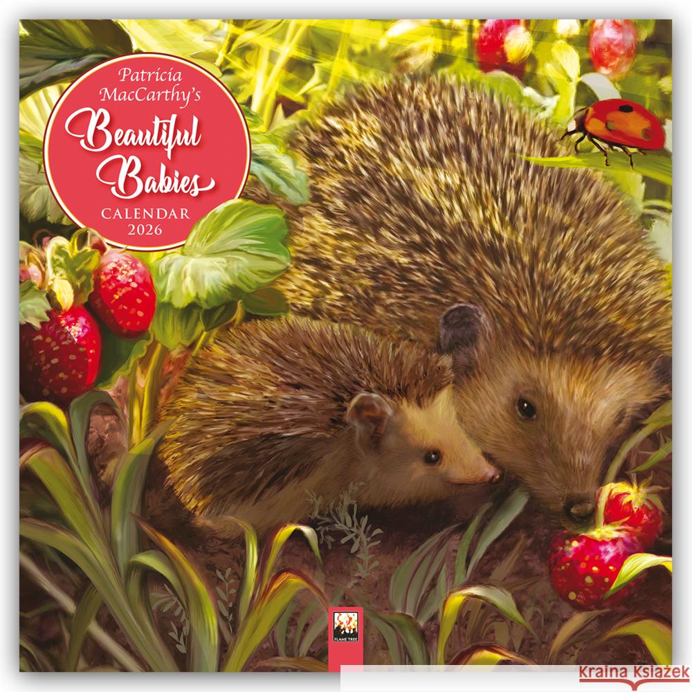 Patricia MacCarthy's Baby Animals Wall Calendar 2026 (Art Calendar) Flame Tree Studio 9781835623558 Flame Tree Publishing