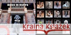 Shakespeare's Globe: Dogs in Ruffs Wall Calendar 2026 (Art Calendar) Flame Tree Studio 9781835624050 Flame Tree Publishing