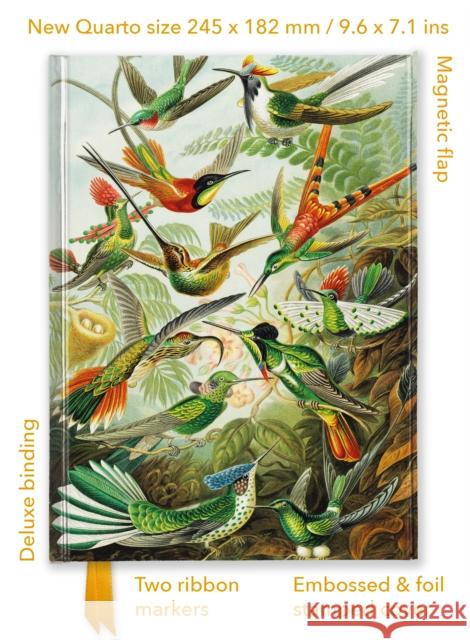Ernst Haeckel: Hummingbirds (Foiled Quarto Journal) Flame Tree Studio 9781835625910 Flame Tree Gift
