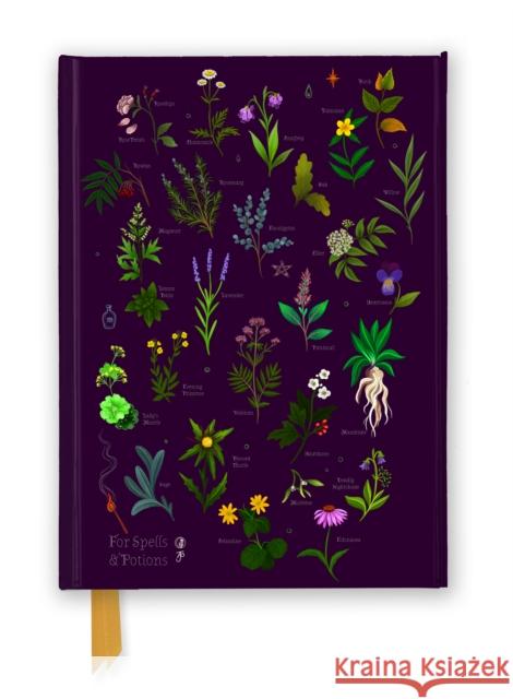 Anna Stead: For Spells & Potions (Foiled Journal) Flame Tree Studio 9781835626795 Flame Tree Gift