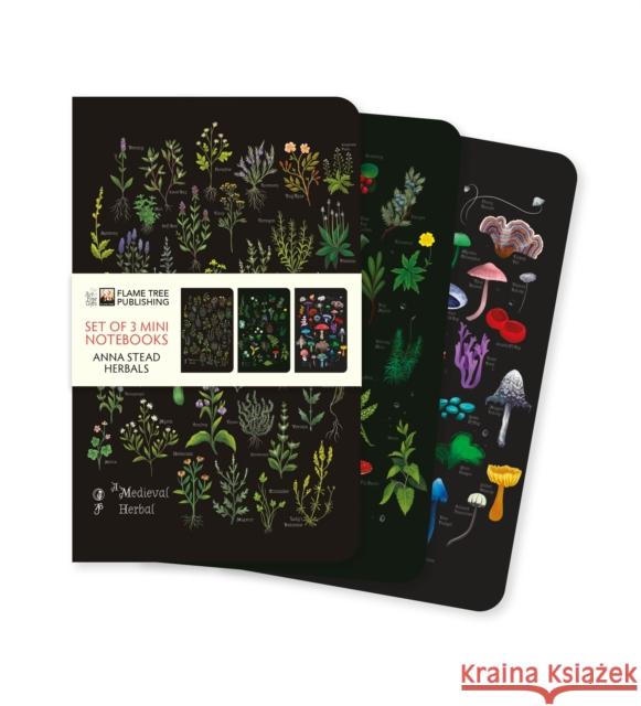 Anna Stead: Herbals Set of 3 Mini Notebooks Flame Tree Studio 9781835627020 Flame Tree Gift
