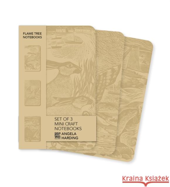 Angela Harding Set of 3 Mini Craft Notebooks Flame Tree Studio 9781835627488 Flame Tree Gift