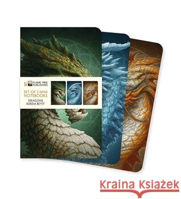 Dragons by Kerem Beyit Set of 3 Mini Notebooks  9781835629154 Flame Tree Publishing