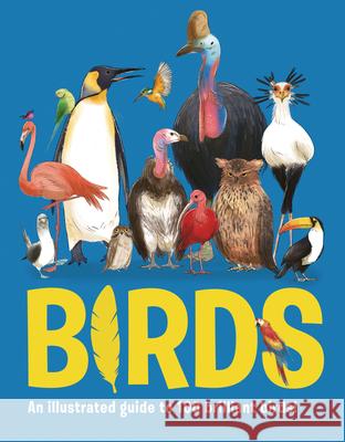Birds: An Illustrated Guide to 100 Brilliant Birds Eliza Jeffery 9781835690994 Beetle Books