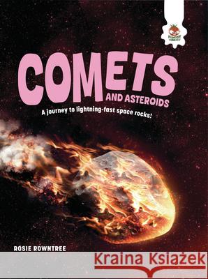 Comets and Asteroids  9781835691038 Hungry Tomato
