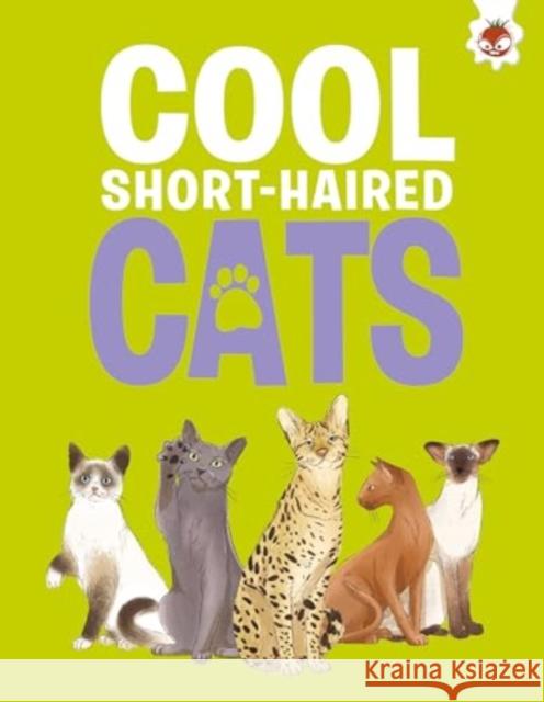 Cool Short-Haired Cats Eliza Jeffrey 9781835693445 Hungry Tomato Ltd