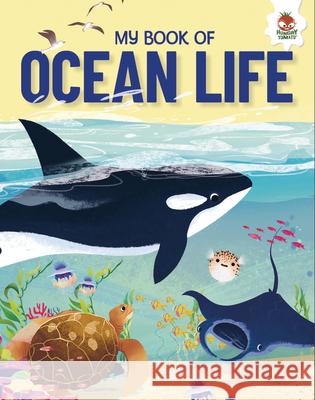 My Book of Ocean Life  9781835694435 Hungry Tomato