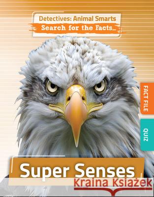 Super Senses Anne O'Daly 9781835720332 Amicus Ink