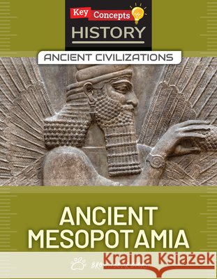 Ancient Mesopotamia Boutland, Craig 9781835721629 Brown Bear Books