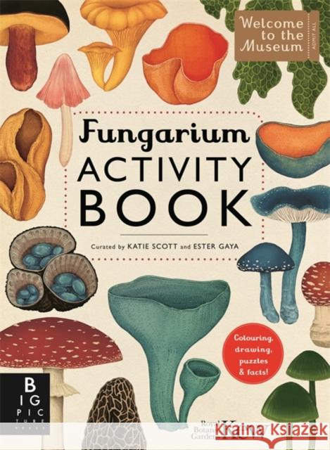 Fungarium Activity Book Royal Botanic Gardens Kew 9781835870648 Bonnier Books Ltd