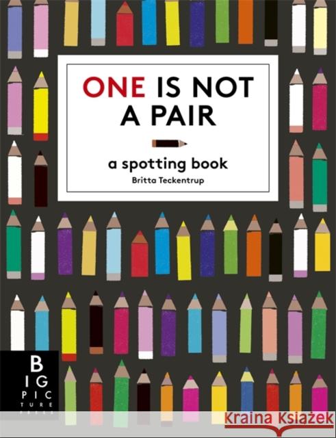 One is Not a Pair: A Spotting Book Katie Haworth 9781835870686 Bonnier Books Ltd