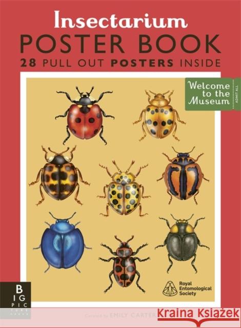 Insectarium Poster Book Goulson, Dave 9781835871843 Bonnier Books Ltd