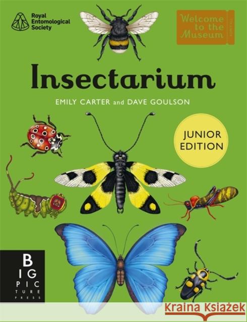 Insectarium (Junior Edition) Goulson, Dave 9781835873847 Bonnier Books Ltd