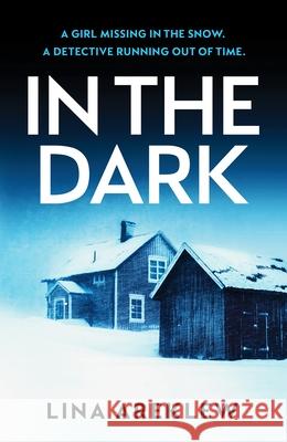 In the Dark: A gripping and atmospheric Scandi noir crime thriller for fans of Will Dean Lina Areklew 9781835983881