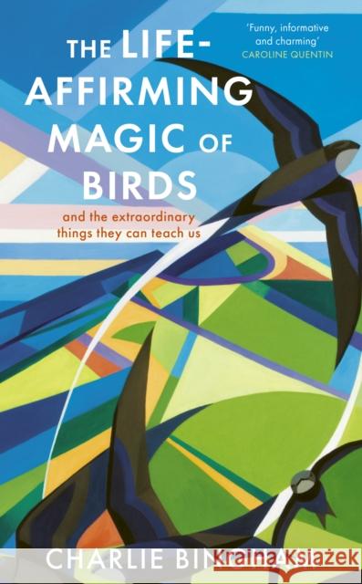 The Life-Affirming Magic of Birds: and the extraordinary things they can teach us Charlie Bingham 9781836002253 Quarto Publishing PLC