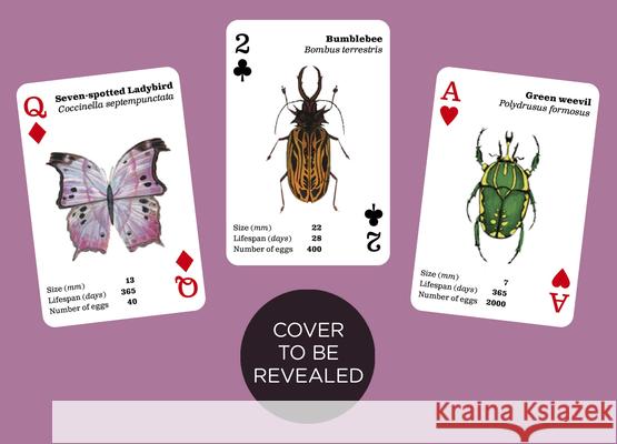 Brilliant Bugs: Playing Cards Kelsey Oseid 9781836005520 Kaddo
