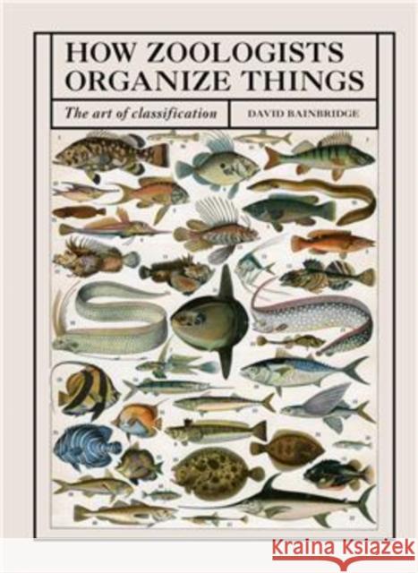 How Zoologists Organize Things: The art of classification David Bainbridge 9781836006503